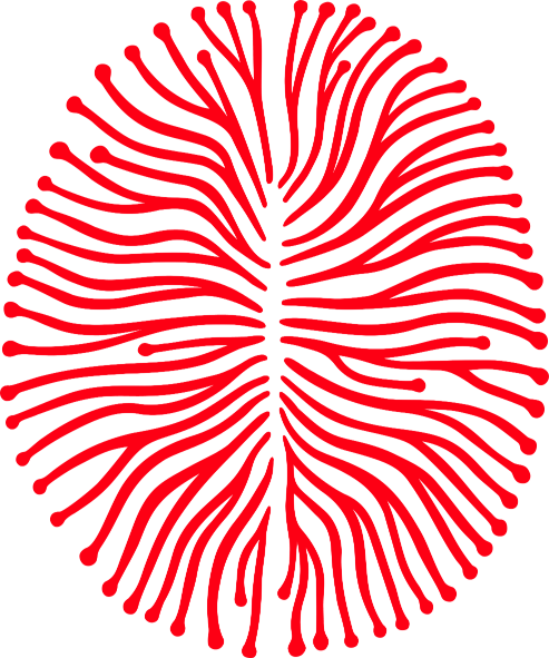 philosophymindscience.org icon