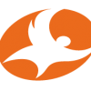 phoenix-fly.com icon