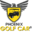Phoenix Golf Car logo