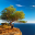 photo-paysage.com icon