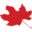physicalliteracy.ca icon