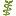 phytodoc.de icon