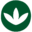 picasso.com.ar icon