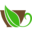 picneco.ru icon