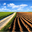 pics4learning.com icon