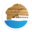 picturedrocks.com icon