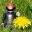 picturesimperfectblog.com icon
