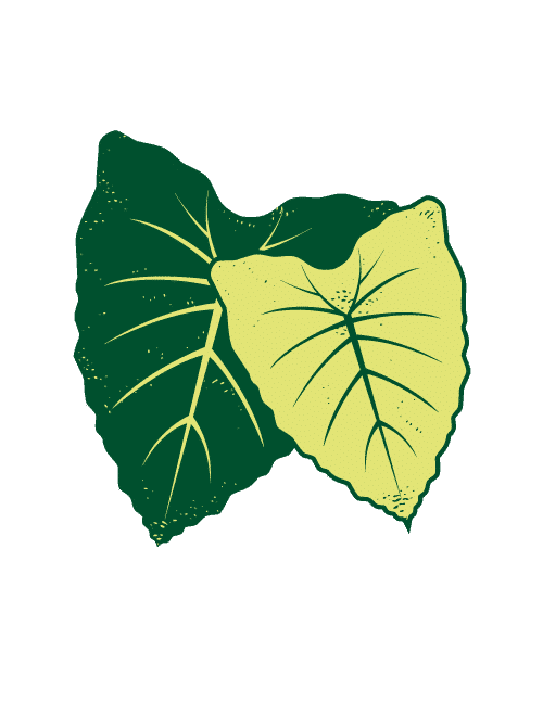 pidf.org icon