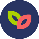 piedwork.com icon