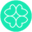 pielboliviana.com icon