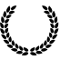 pierwszastronamedalu.pl icon