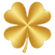 pigaroo.com icon