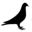 pigeonvetcenter.com icon