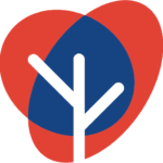 pilonul2.ro icon