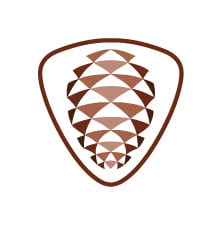 pinecone.org icon