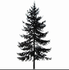 Pinecrest Golf Club logo
