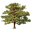 Pine Oaks Golf Club logo
