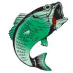 pinepointlodge.com icon