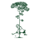 Pine Tree Golf Club logo