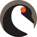 pingwin.nl icon