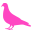 pinkpigeon.co.uk icon