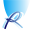 pintourbus.com icon