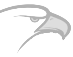 pinturaseaglepaint.com icon