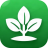 pinyon.co.uk icon