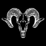 piratebackcountryadventures.com icon