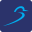 pisco.com.br icon