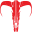pitposse.com icon
