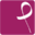 pitturiamo.com icon