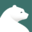 pizzli.ca icon