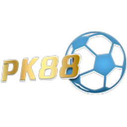 pk6621.xyz icon