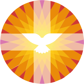pkn-zwijndrecht.nl icon