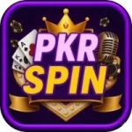 pkrspin-s.pk icon