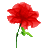 placidasignora.com icon