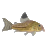 planetcatfish.com icon