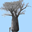 plantillustrations.org icon