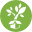plantingtree.com logo