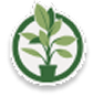 plantje.nl icon