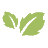 plantmaster.com logo