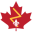 plasticsurgery.ca icon