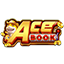 playacebook.mobi icon