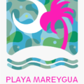 playamareygua.com icon