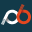 playbookapi.com icon