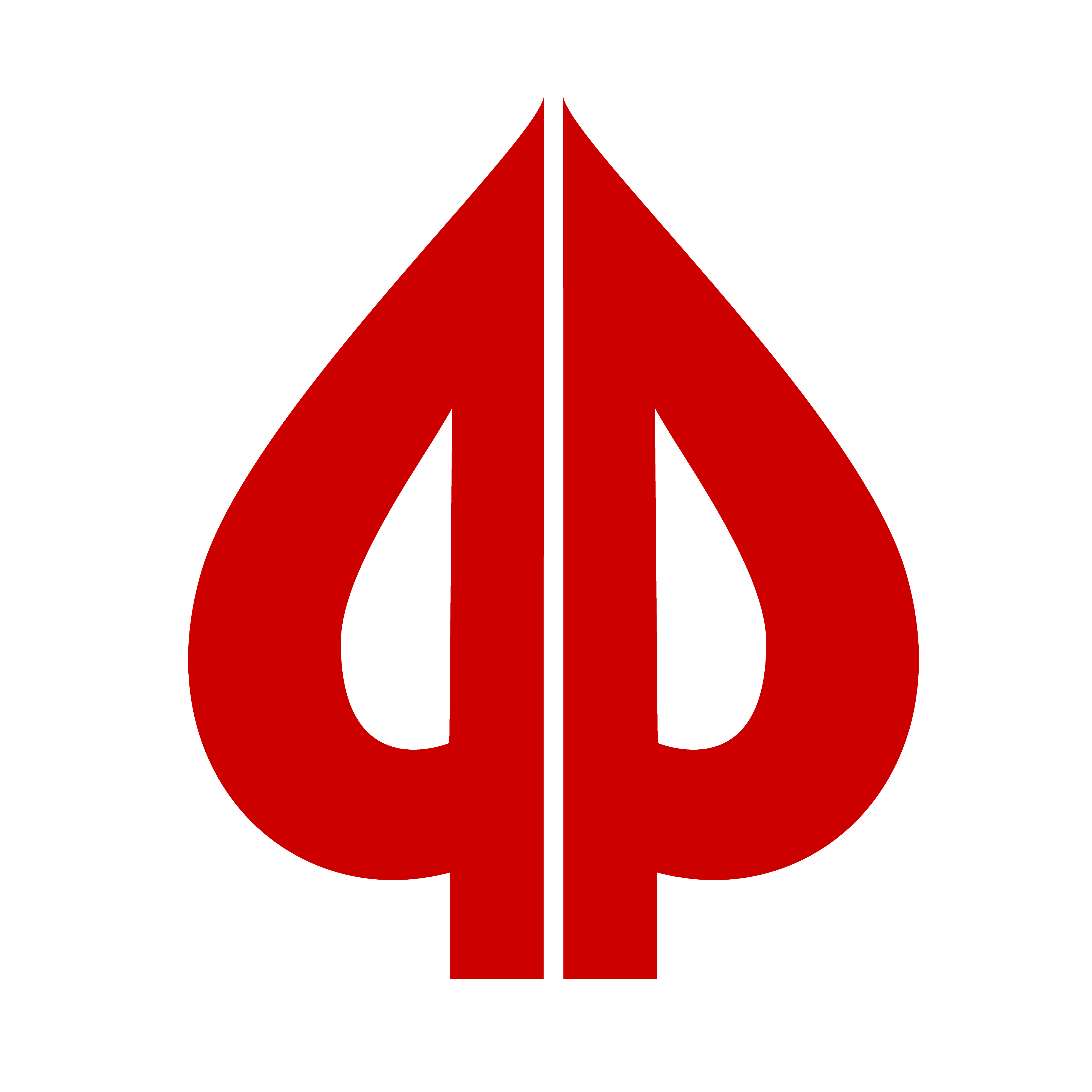 playground.ca icon