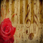 pleasure-house-for-adults.com icon