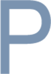 plexusamsterdam.nl icon