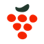 plugwine.com icon